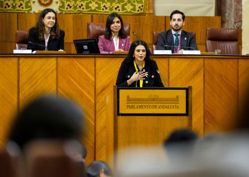 Los portavoces de los diferentes grupos responden a la intervenci�n de la presidenta