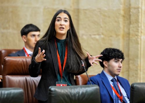   Intervenci�n desde el esca�o de una de las portavoces 