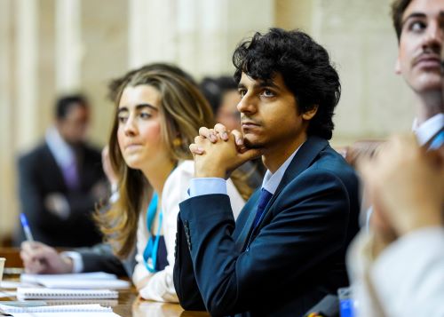  Participantes en la sesi�n del SIPA