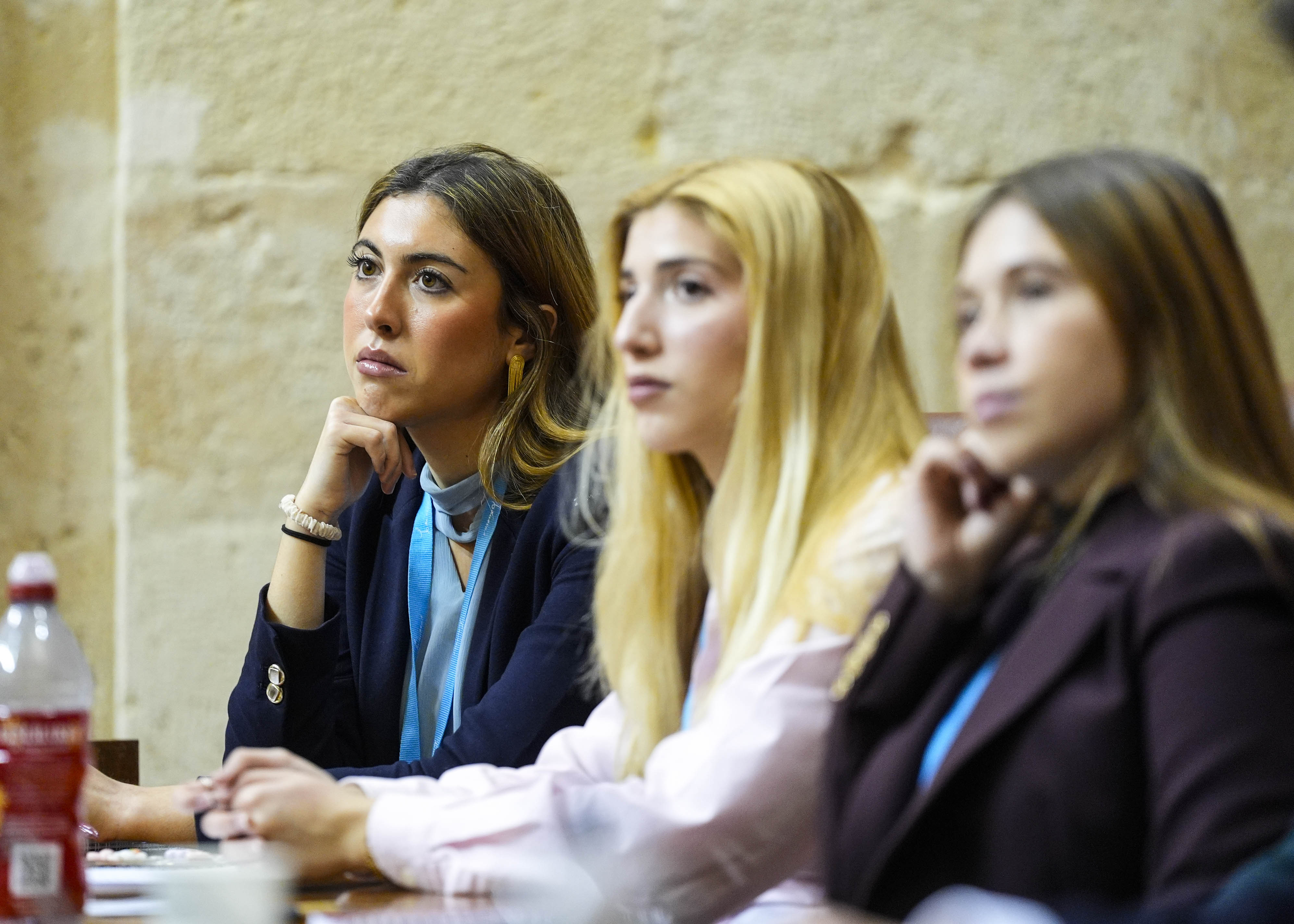  Esca�os ocupados por los participantes en la simulaci�n parlamentaria