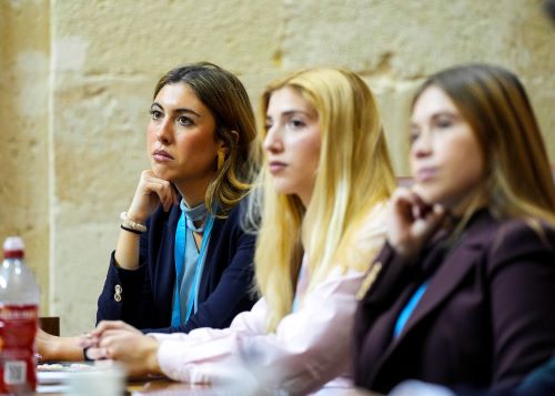  Esca�os ocupados por los participantes en la simulaci�n parlamentaria