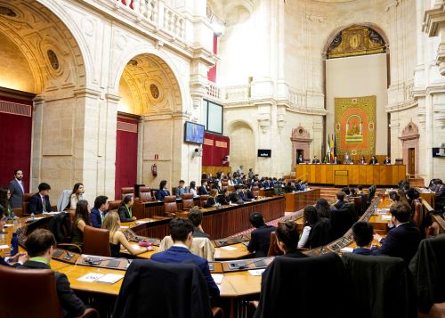  Vista general del Sal�n de Plenos durante la sesi�n