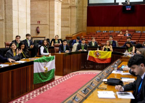 En un momento del debate se exhibieron banderas en los esca�os que la presidencia orden� retirar