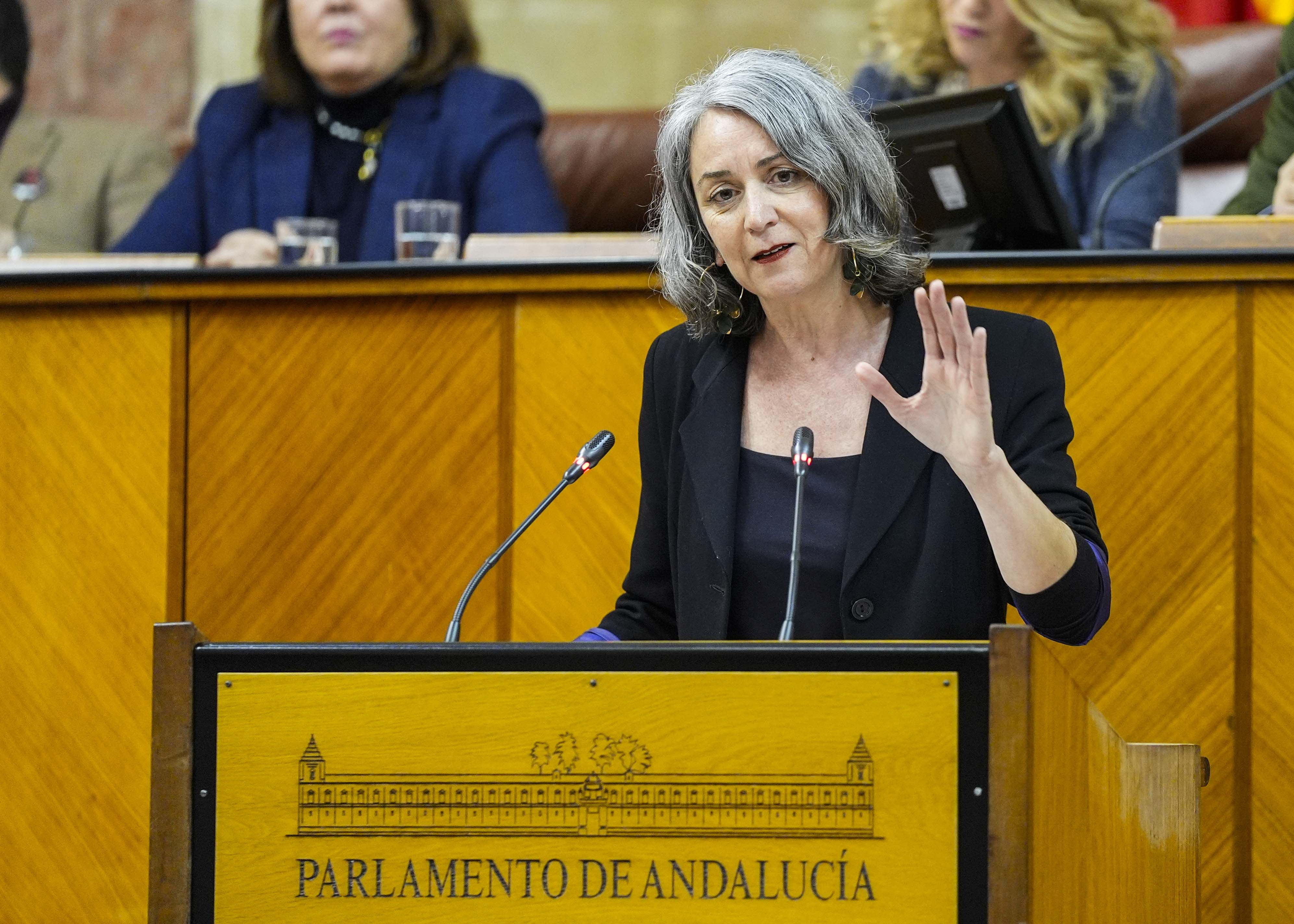 Miren Bego�e Iza, presidenta del G.P. Mixto-Adelante Andaluc�a, inicia el debate final del Proyecto de Ley de Patrimonio Cultural de Andaluc�a