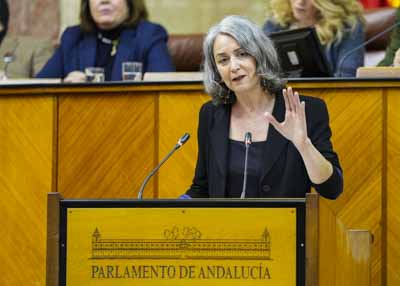 Miren Bego�e Iza, presidenta del G.P. Mixto-Adelante Andaluc�a, inicia el debate final del Proyecto de Ley de Patrimonio Cultural de Andaluc�a