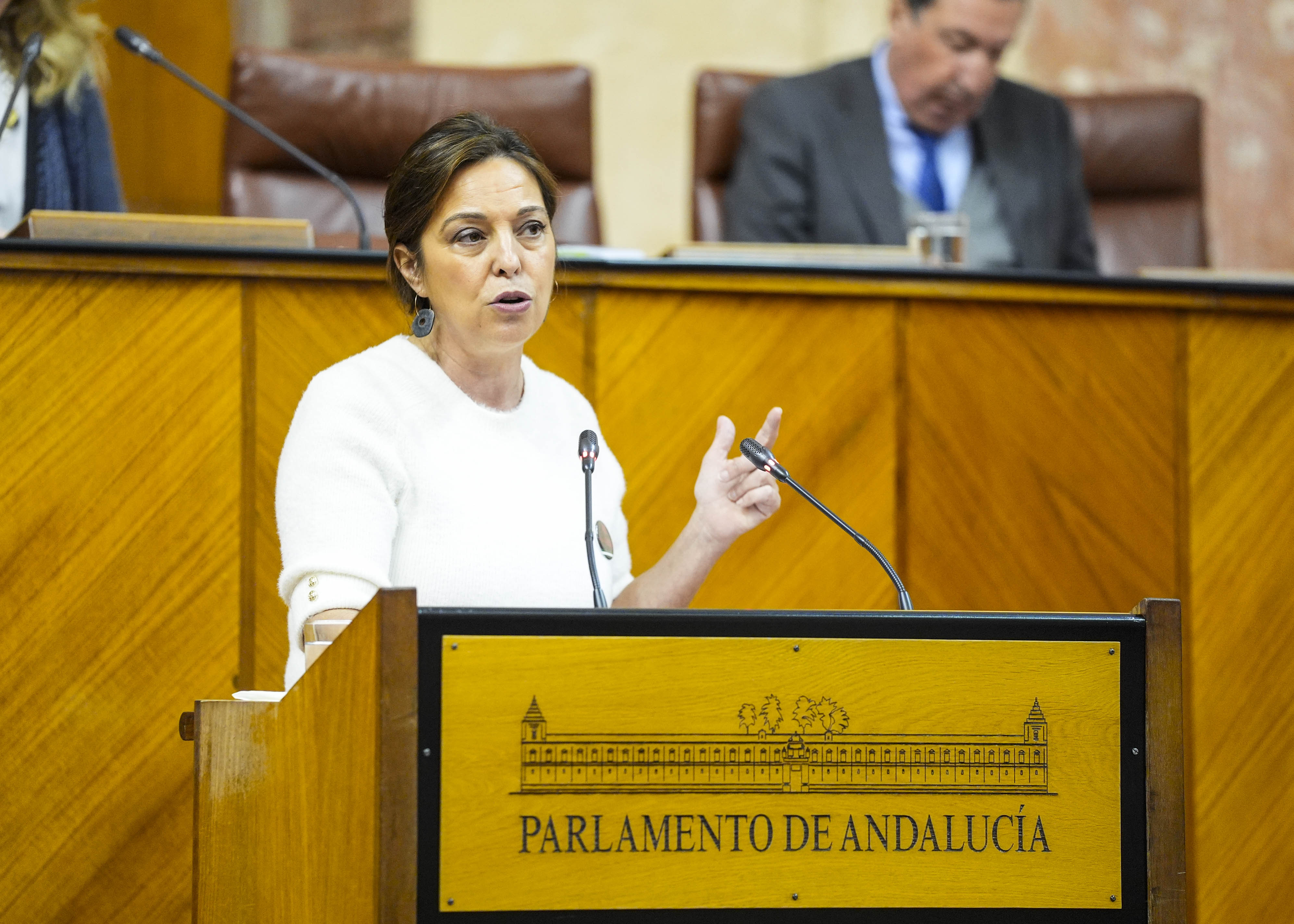 Mar�a Isabel Ambrosio posiciona al Grupo Parlamentario Socialista en el debate del proyecto de ley 