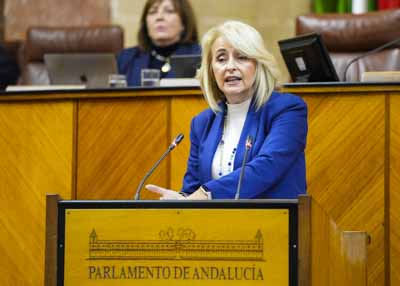 Por el Grupo Popular, la diputada Mar�a Pilar Pintor interviene en el debate final del proyecto de ley 