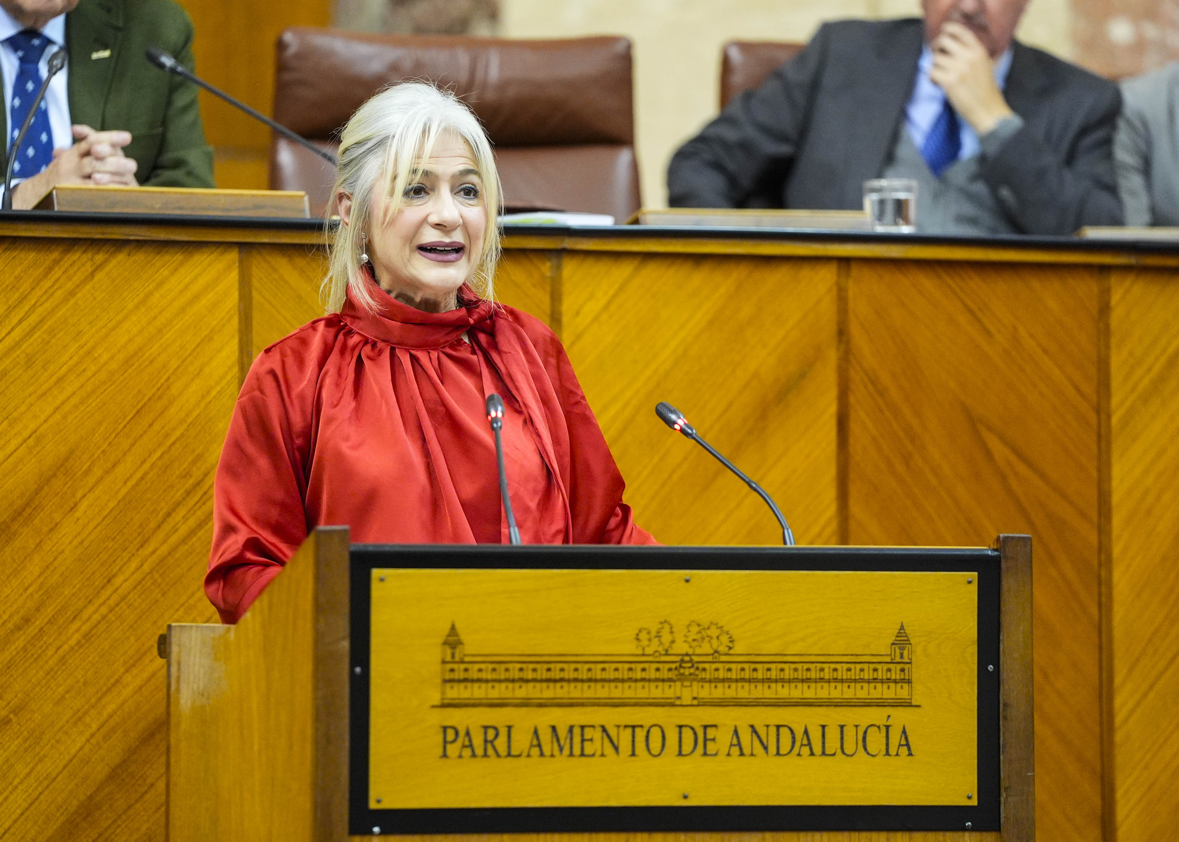 Patricia del Pozo, consejera de Cultura y Deporte, cierra con su intervenci�n el debate del Proyecto de Ley de Patrimonio Cultural de Andaluc�a