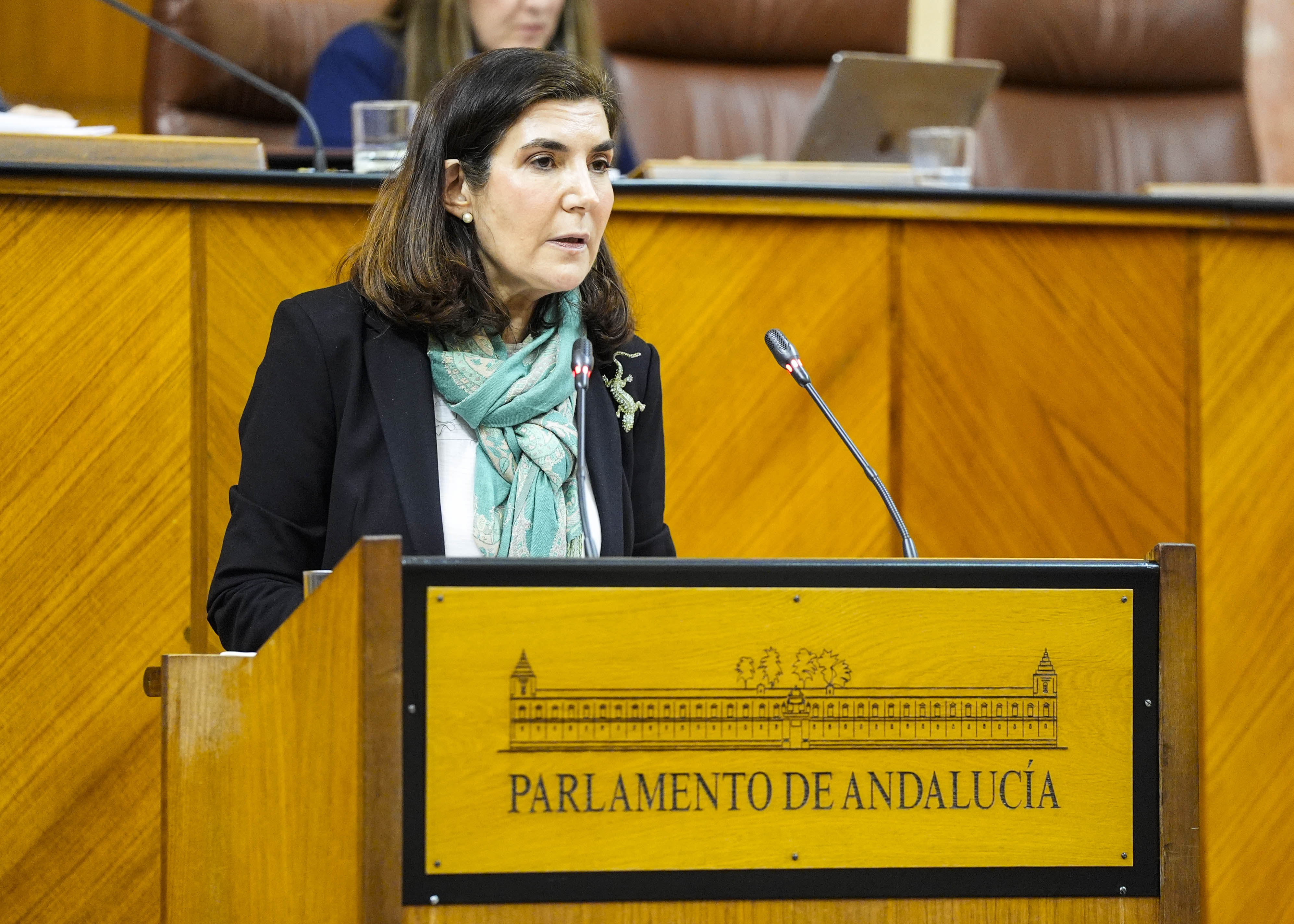  La consejera de Empleo, Roc�o Blanco, comparece para informar sobre inserci�n laboral y empleabilidad de la mujer en 2025