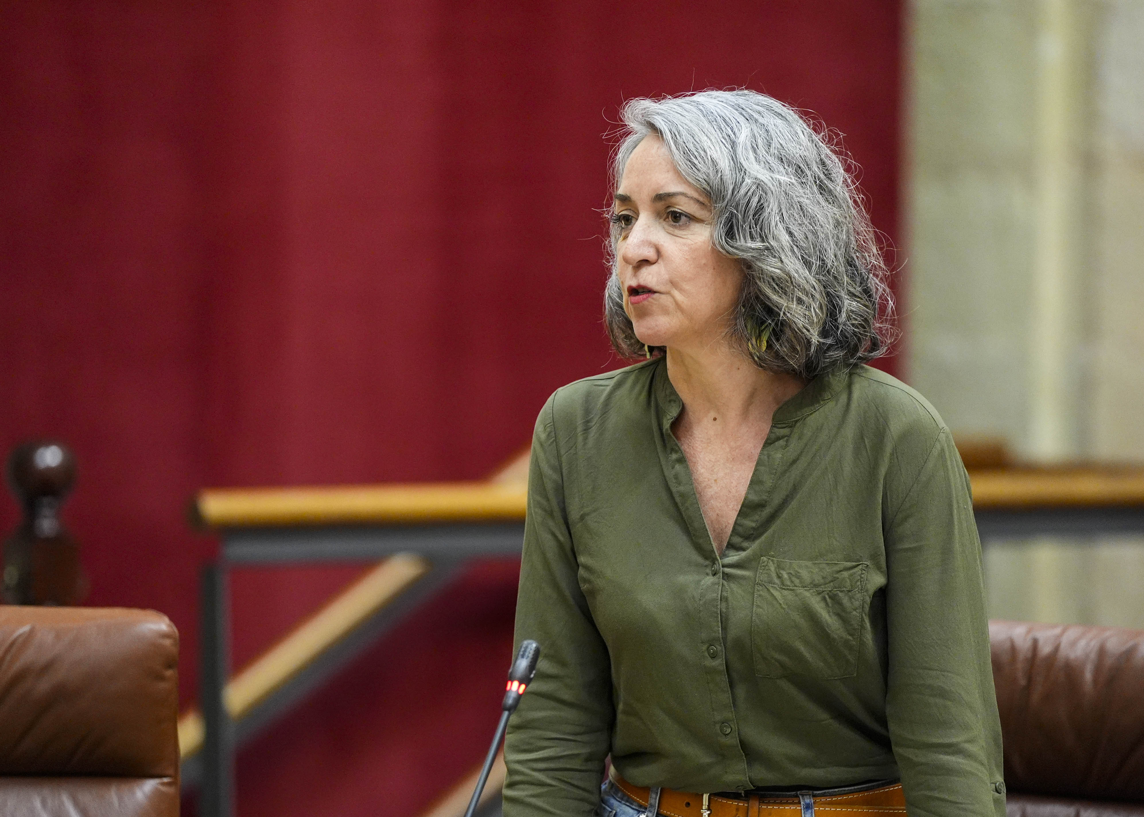  Miren Bego�e Iza, presidenta del G.P. Mixto-Adelante Andalucia, pregunta sobre el Centro de Atenci�n Temprana San Rafael (Granada)