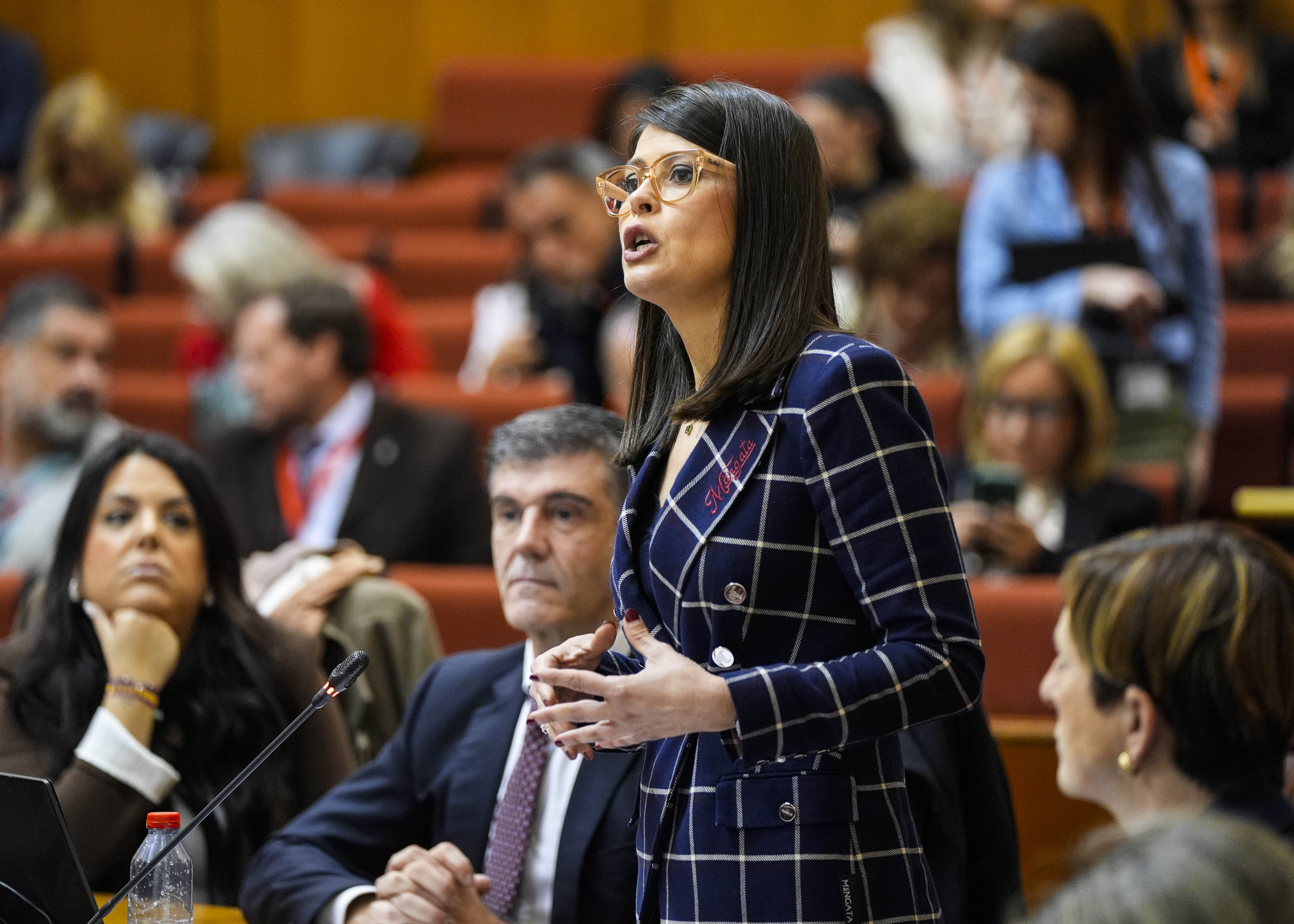  La diputada �ngeles Mart�nez, del Grupo Popular, solicita al consejero de Agricultura una valoraci�n sobre la problem�tica suscitada en la agricultura del Levante Almeriense  