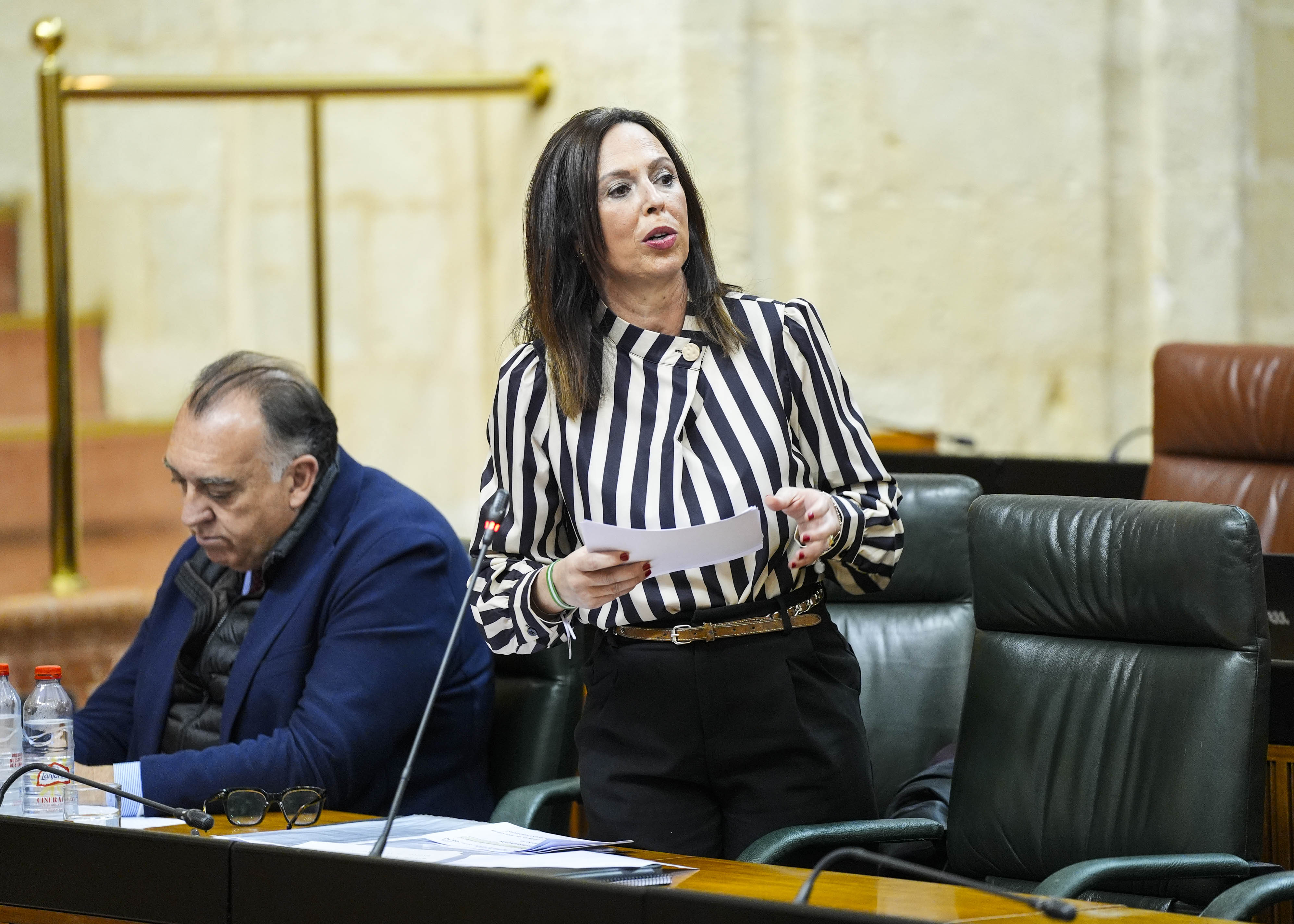 La consejera de Fomento, Articulaci�n del Territorio y Vivienda, Roc�o D�az, responde a la cuesti�n  