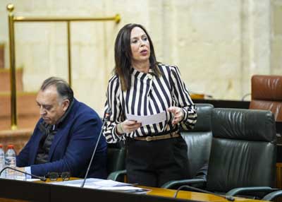 La consejera de Fomento, Articulaci�n del Territorio y Vivienda, Roc�o D�az, responde a la cuesti�n  