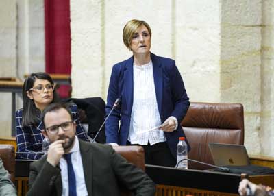 Mar�a Jos� Escarcena, del Grupo Popular, pregunta sobre el avance de las infraestructuras judiciales de Marbella (M�laga) 