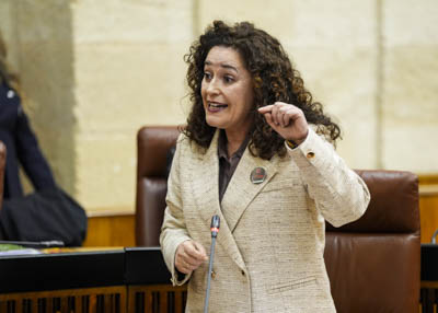 Inmaculada Nieto, portavoz del G.P. Por Andaluc�a, pregunta al presidente sobre la aportaci�n de estabilidad y seguridad a Andaluc�a en su acci�n de gobierno