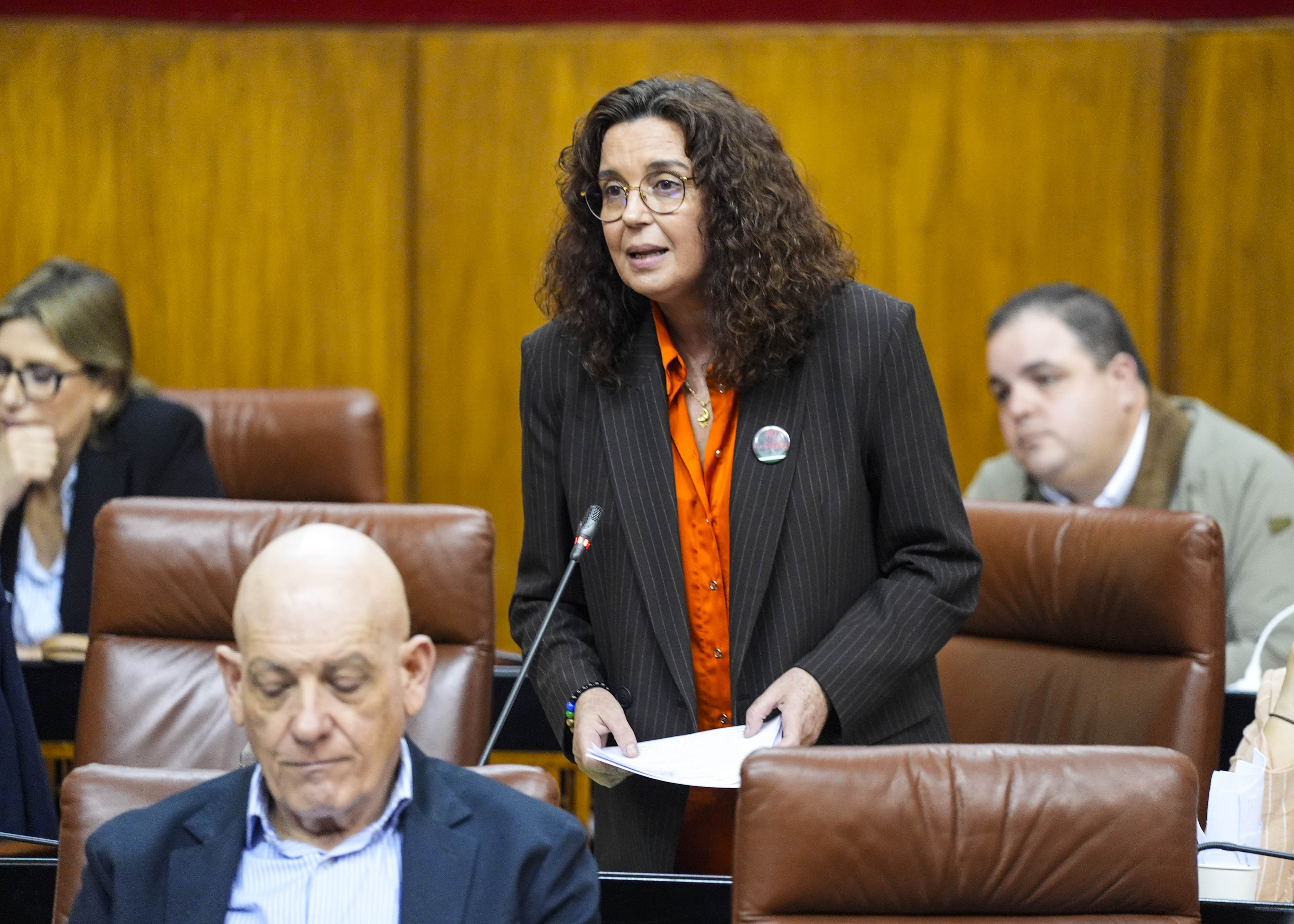 Susana Rivas, del Grupo Socialista, formula una cuesti�n relativa al tratamiento de los datos del alumnado andaluz mediante plataformas digitales 