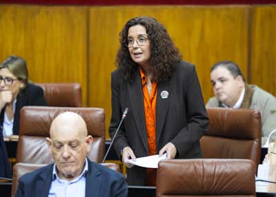 Susana Rivas, del Grupo Socialista, formula una cuesti�n relativa al tratamiento de los datos del alumnado andaluz mediante plataformas digitales 