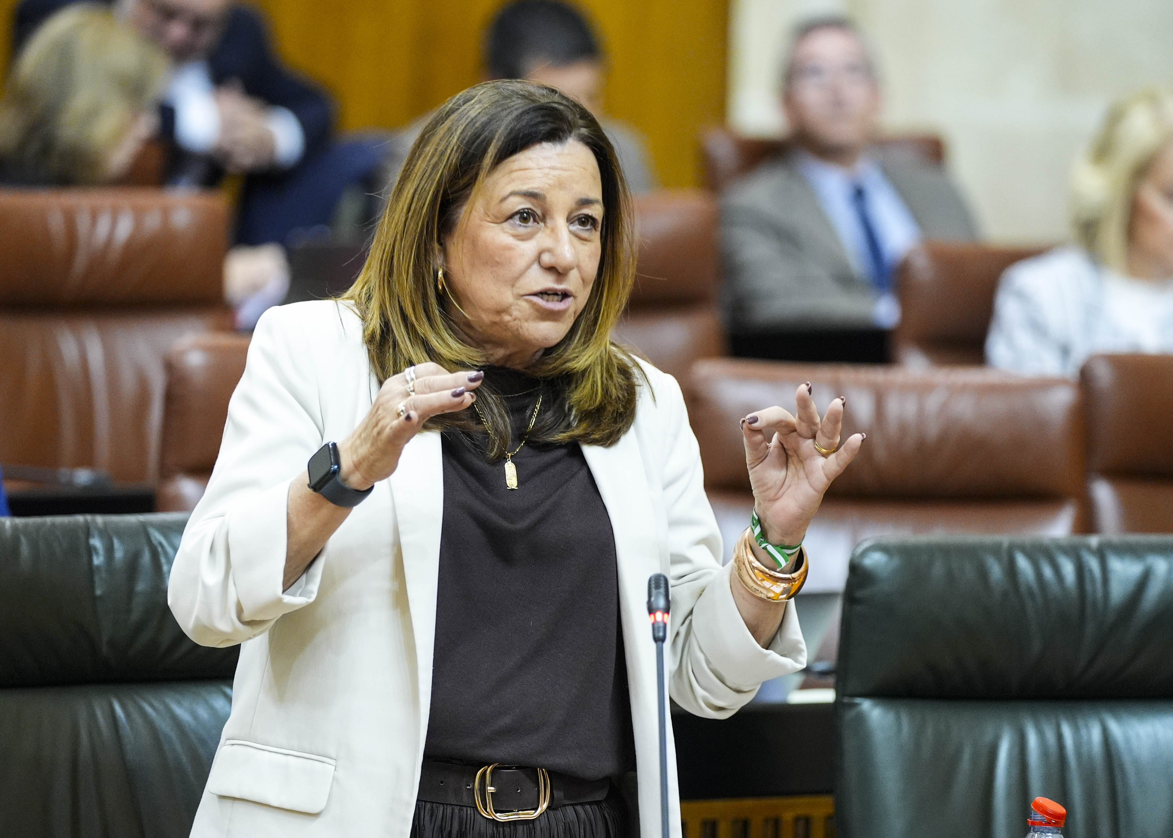 Mar�a del Carmen Castillo, consejera de Desarrollo Educativo y Formaci�n Profesional, le contesta 