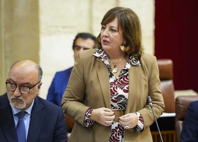  Por el Grupo Vox en Andaluc�a, Cristina Alejandra Jim�nez formula una pregunta relativa a brecha maternal 