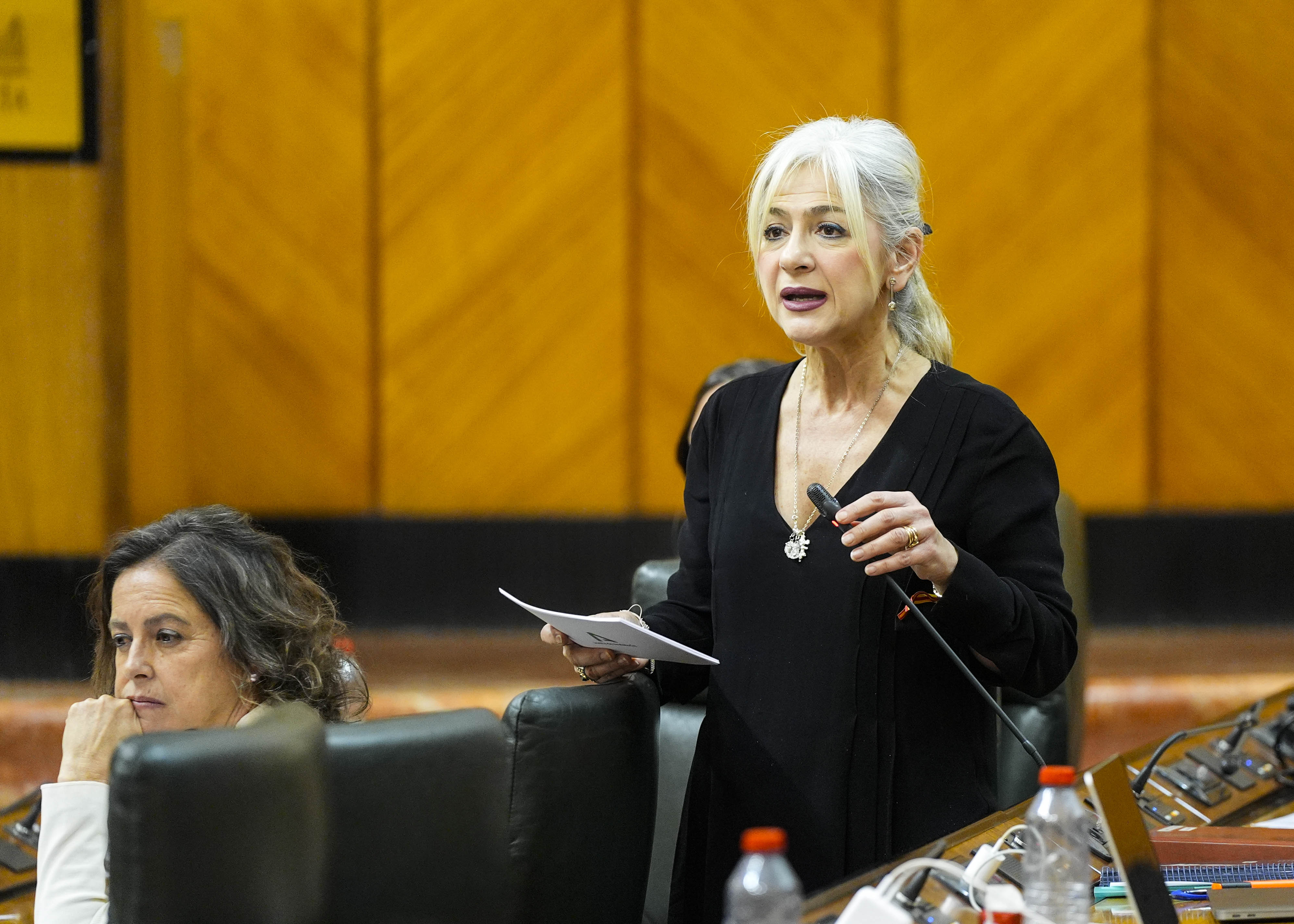 Le responde la consejera de Cultura y Deporte, Patricia del Pozo 