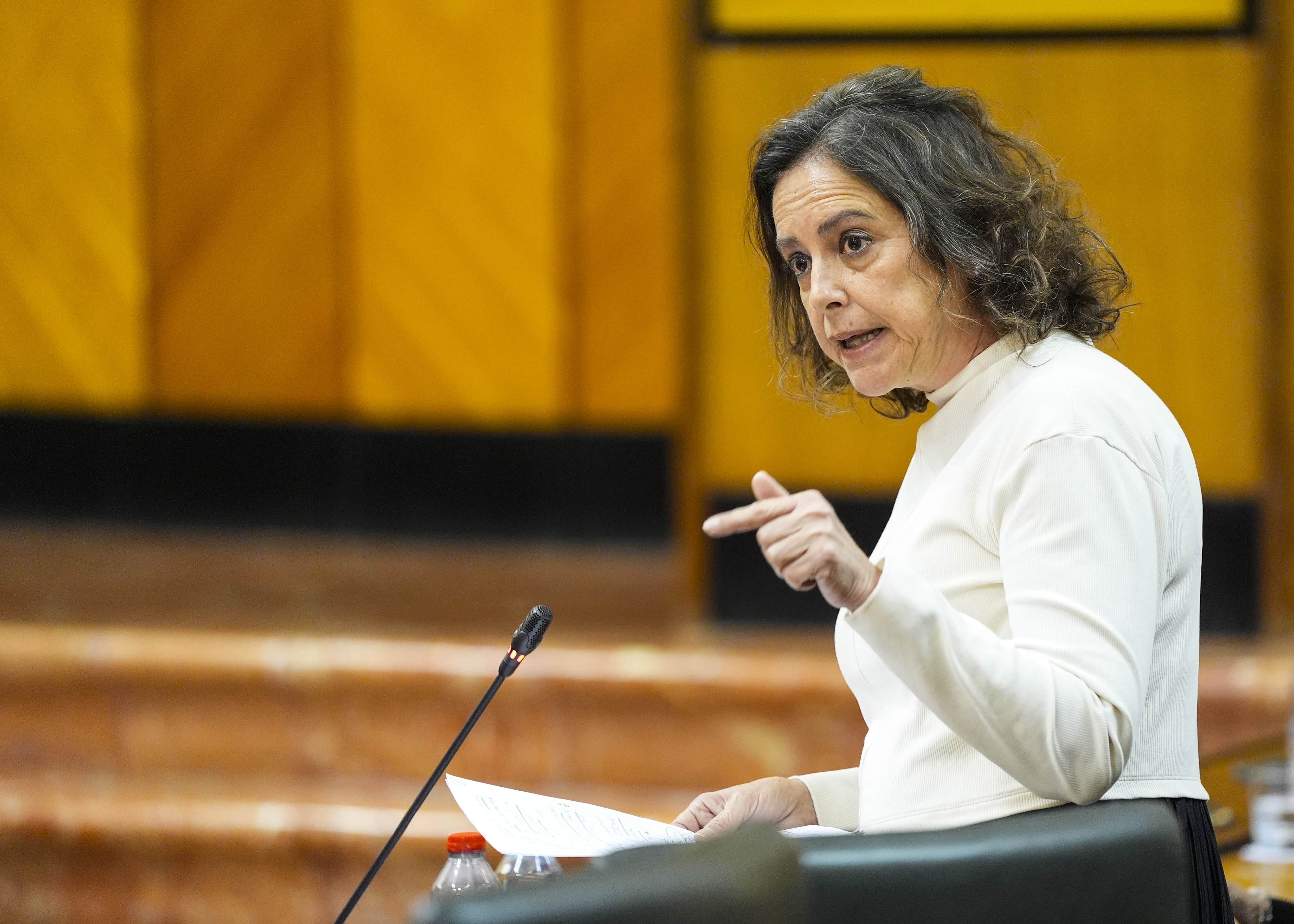 Catalina Garc�a, consejera de Sostenibilidad y Medio Ambiente, responde a la pregunta de su competencia 