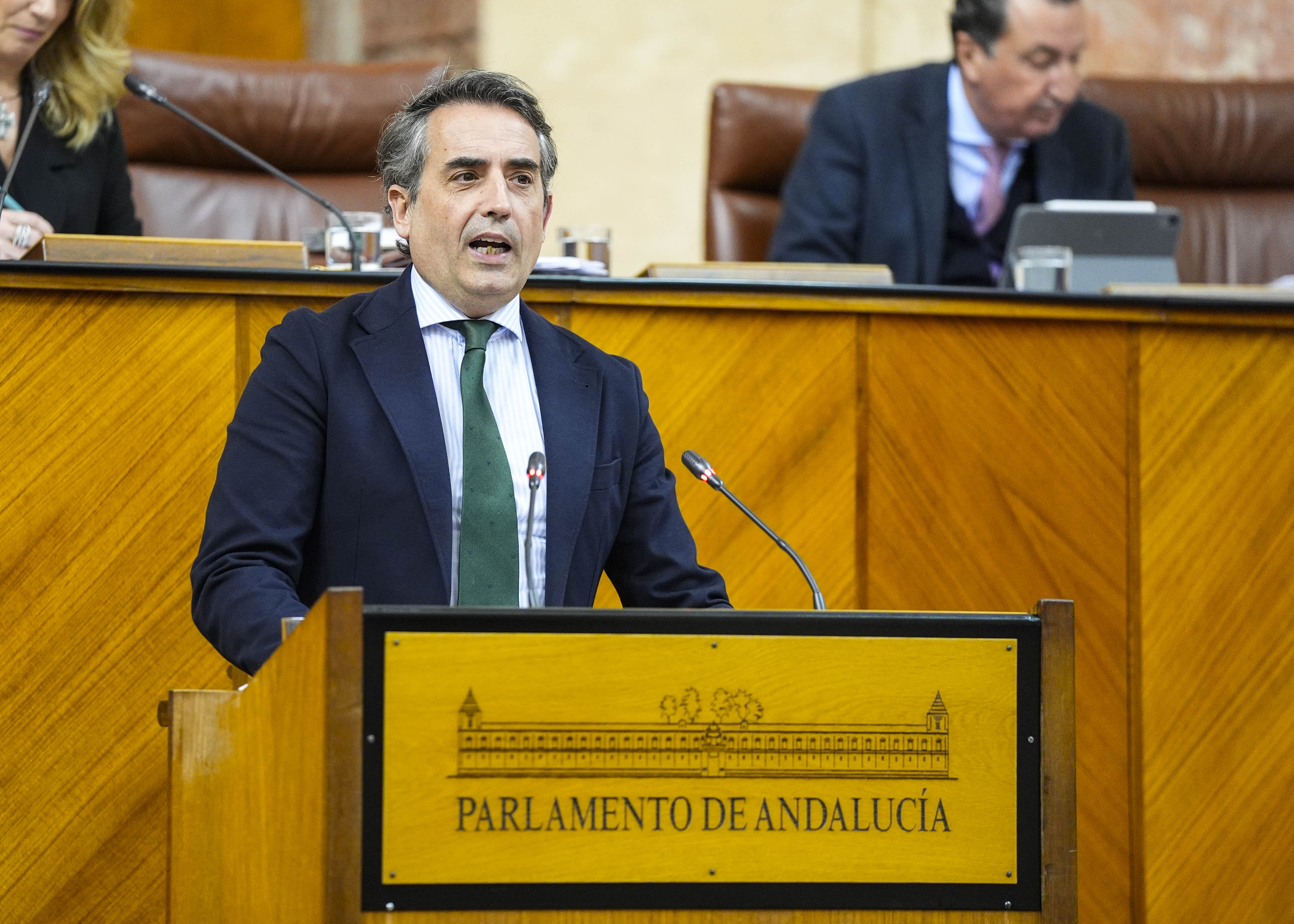 Antonio Salda�a, del Grupo Popular, presenta una PNLP relativa a actuaciones urgentes en infraestructuras de Andaluc�a