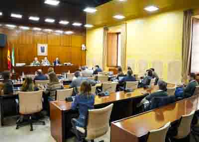  La Comisi�n de Universidad, Investigaci�n e Innovaci�n en la sesi�n de esta ma�ana

