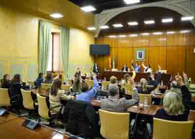 La Comisi�n de Justicia, Administraci�n Local y Funci�n P�blica vota los dict�menes de dos proyectos de ley: el que crea el Colegio Profesional de Detectives Privados de Andaluc�a, y el que crea el Colegio Oficial de Pedagog�a y Psicopedagog�a de Andaluc�a 