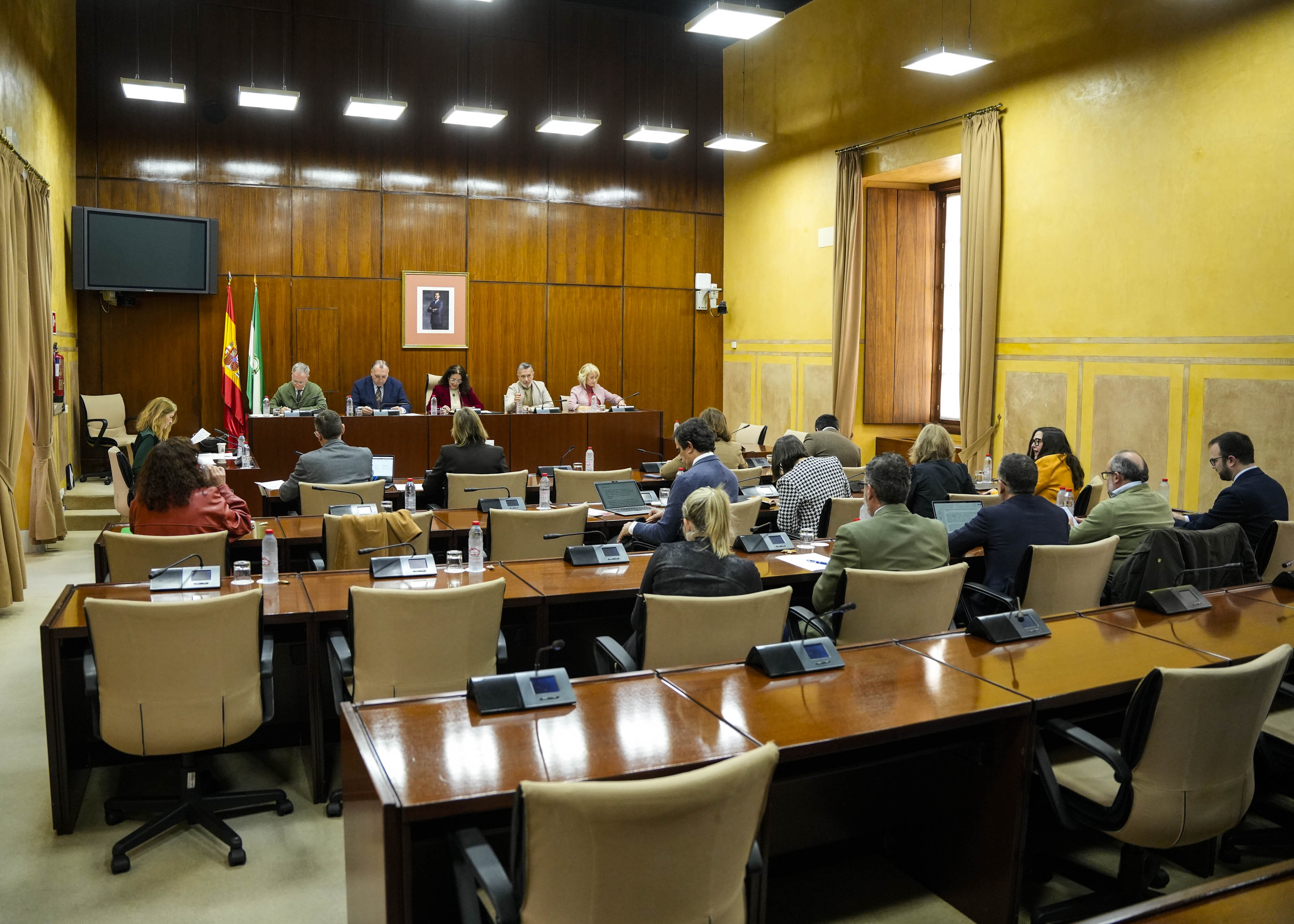 Vista general de la Comisi�n de Turismo y Andaluc�a Exterior con el consejero titular 