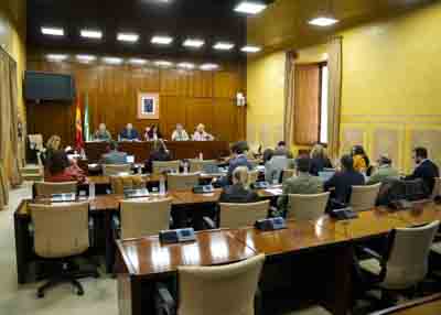 Vista general de la Comisi�n de Turismo y Andaluc�a Exterior con el consejero titular 