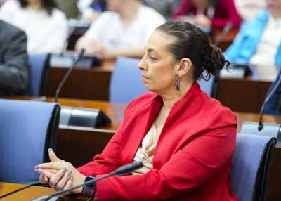 Mar�a de las Mercedes G�mez, del Grupo Socialista 