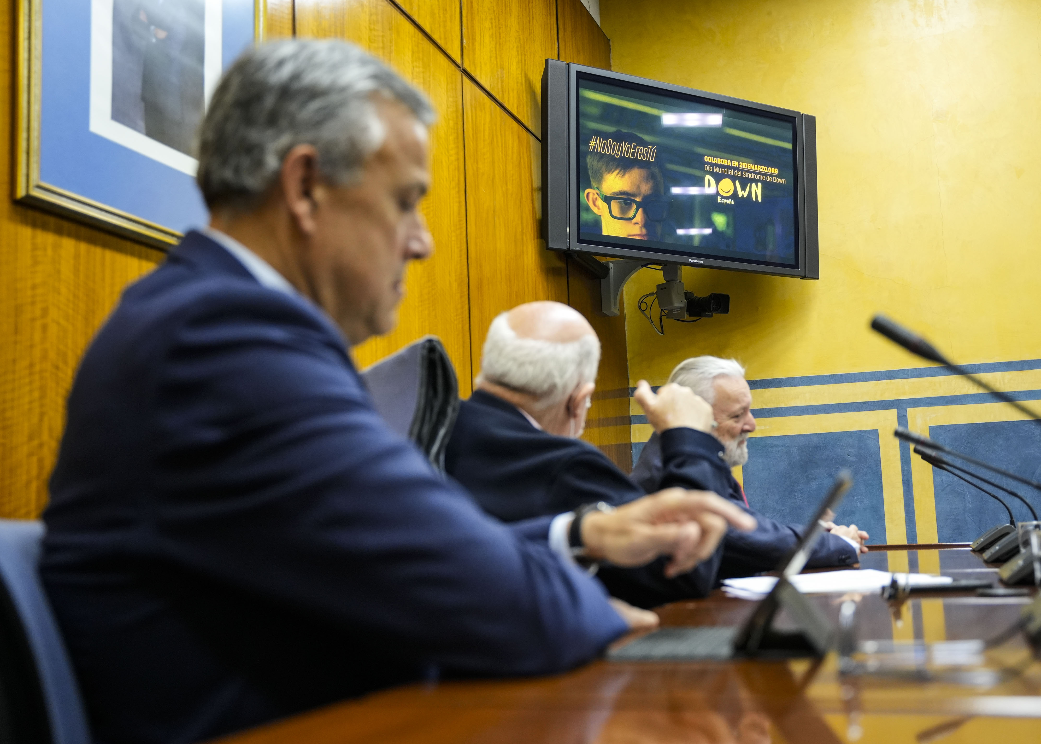  Proyecci�n de un v�deo en uno de los momentos del acto por el D�a Mundial del S�ndrome de Down  