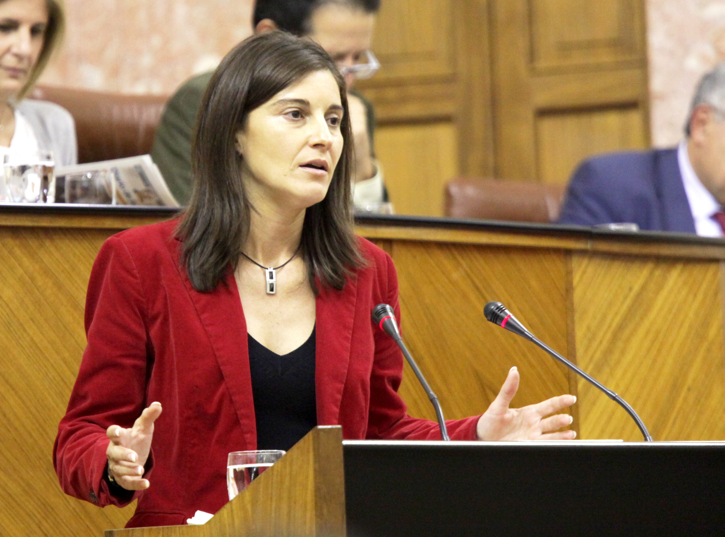 Pilar Navarro defiende la postura del Grupo Socialista en el debate de la proposición de Ley