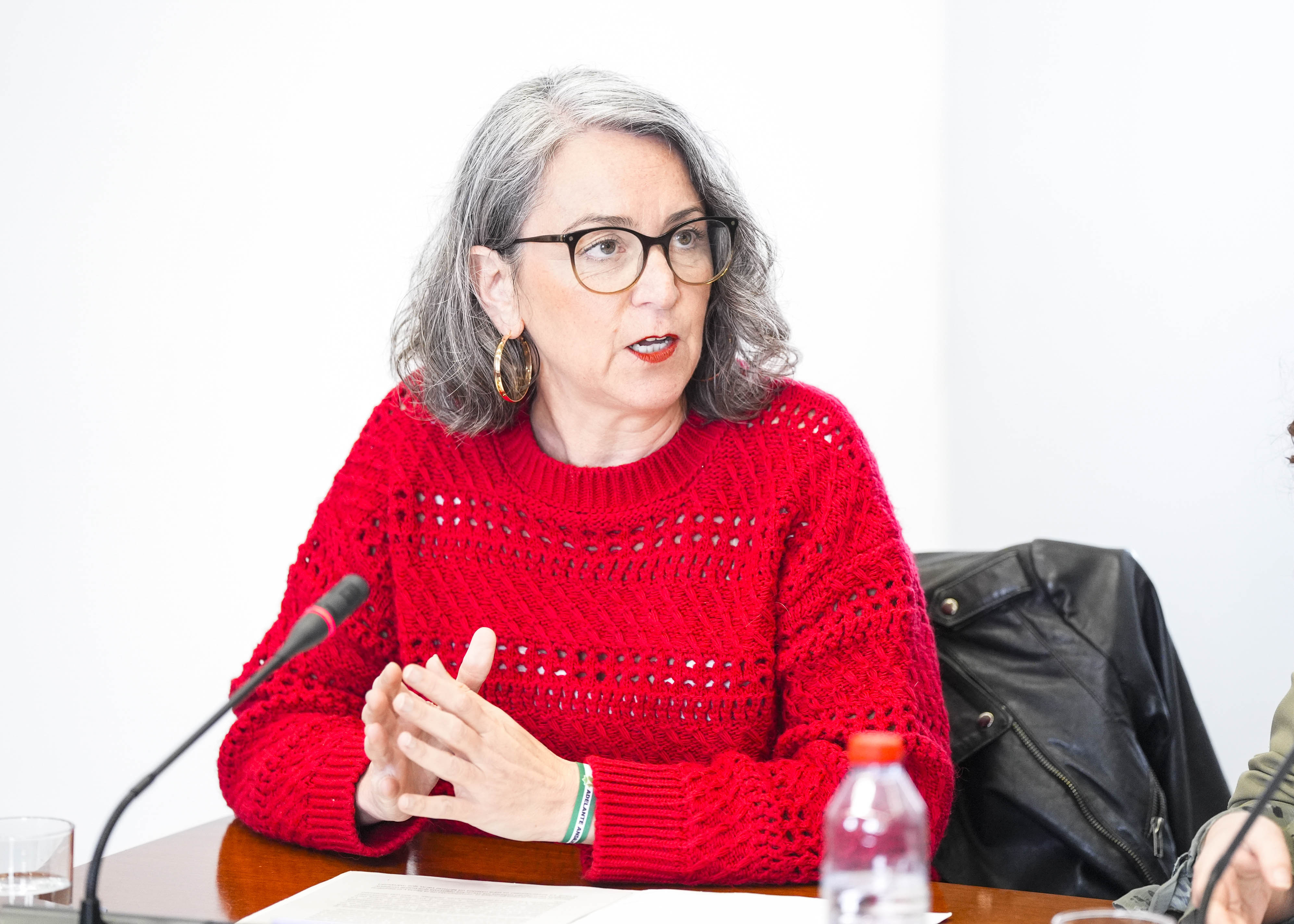  Bego�a Iza interviene como portavoz de Adelante Andaluc�a