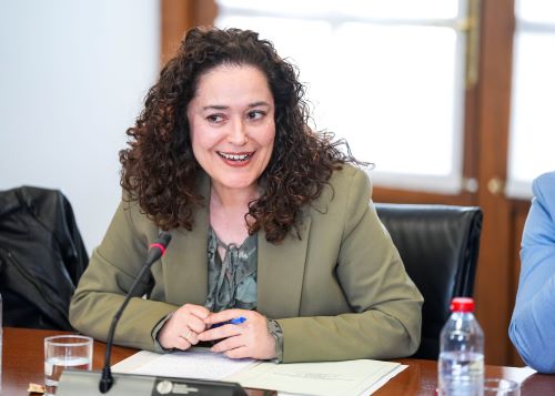  Inma Nieto toma la palabra en la Diputaci�n Permanente para expresar la opini�n de Por Andaluc�a