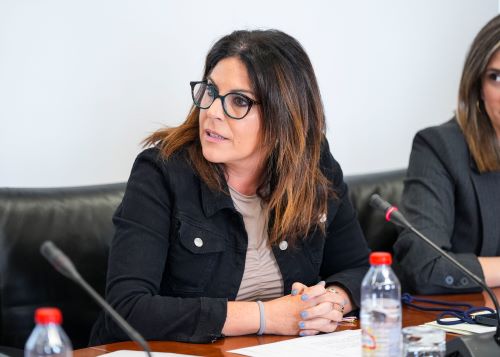  �ngeles F�rriz interviene como portavoz socialista en la Diputaci�n Permanente