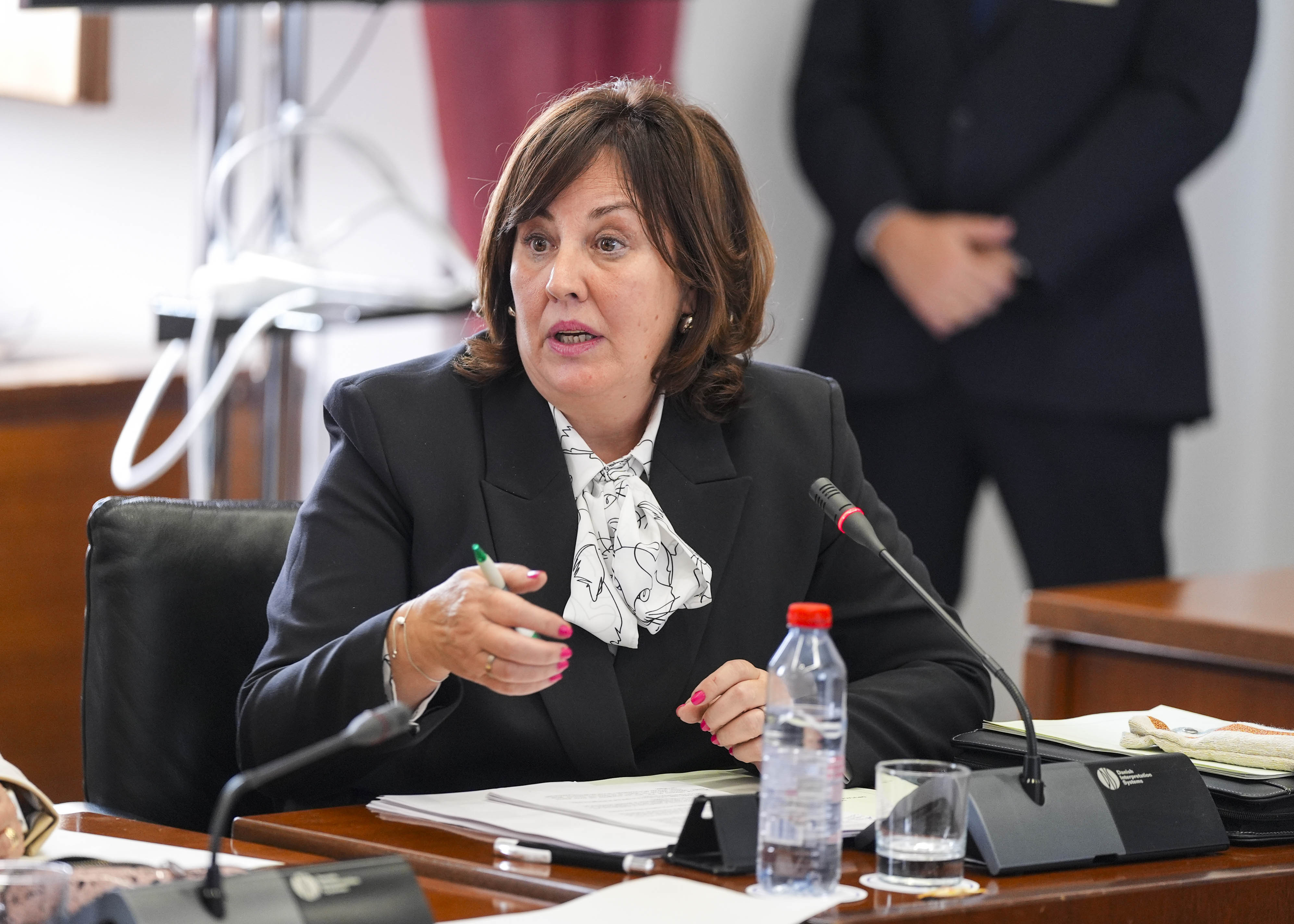   Cristina Alejandra Jim�nez, vicepresidenta tercera, interviene en la sesi�n de hoy de la Diputaci�n Permanente