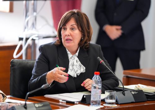   Cristina Alejandra Jim�nez, vicepresidenta tercera, interviene en la sesi�n de hoy de la Diputaci�n Permanente