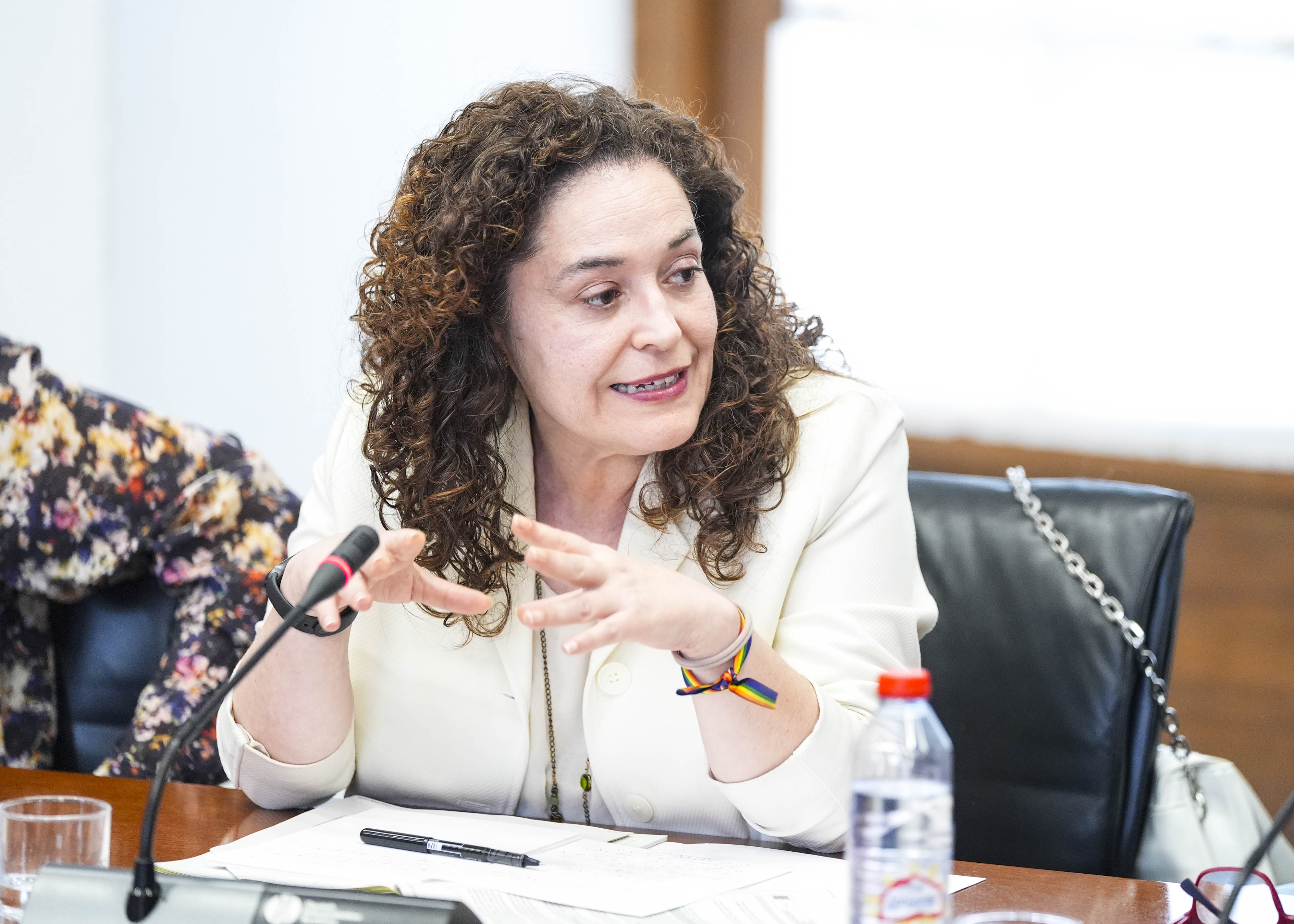  Inmaculada Nieto toma la palabra en la Diputaci�n Permanente para expresar la opini�n de Por Andaluc�a 