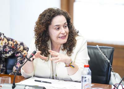  Inmaculada Nieto toma la palabra en la Diputaci�n Permanente para expresar la opini�n de Por Andaluc�a 