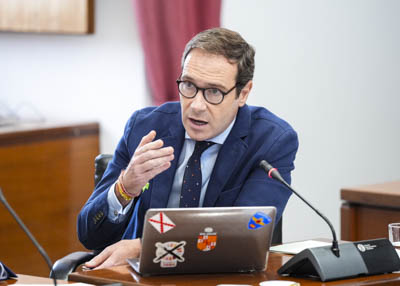 Javier Cort�s interviene en representaci�n del Grupo Vox