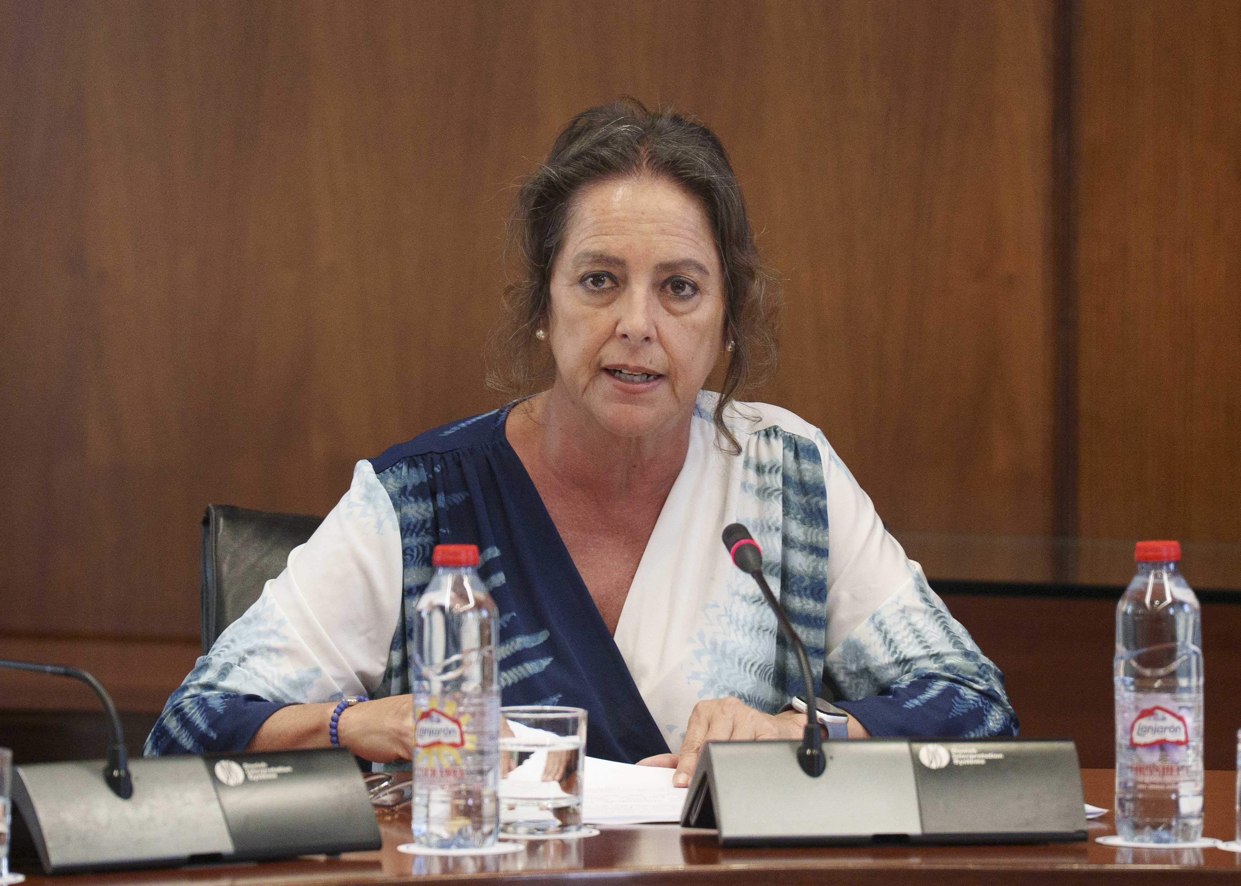   La consejera de Sostenibilidad y Medio Ambiente, Catalina Garc�a, defiende un decreto ley
