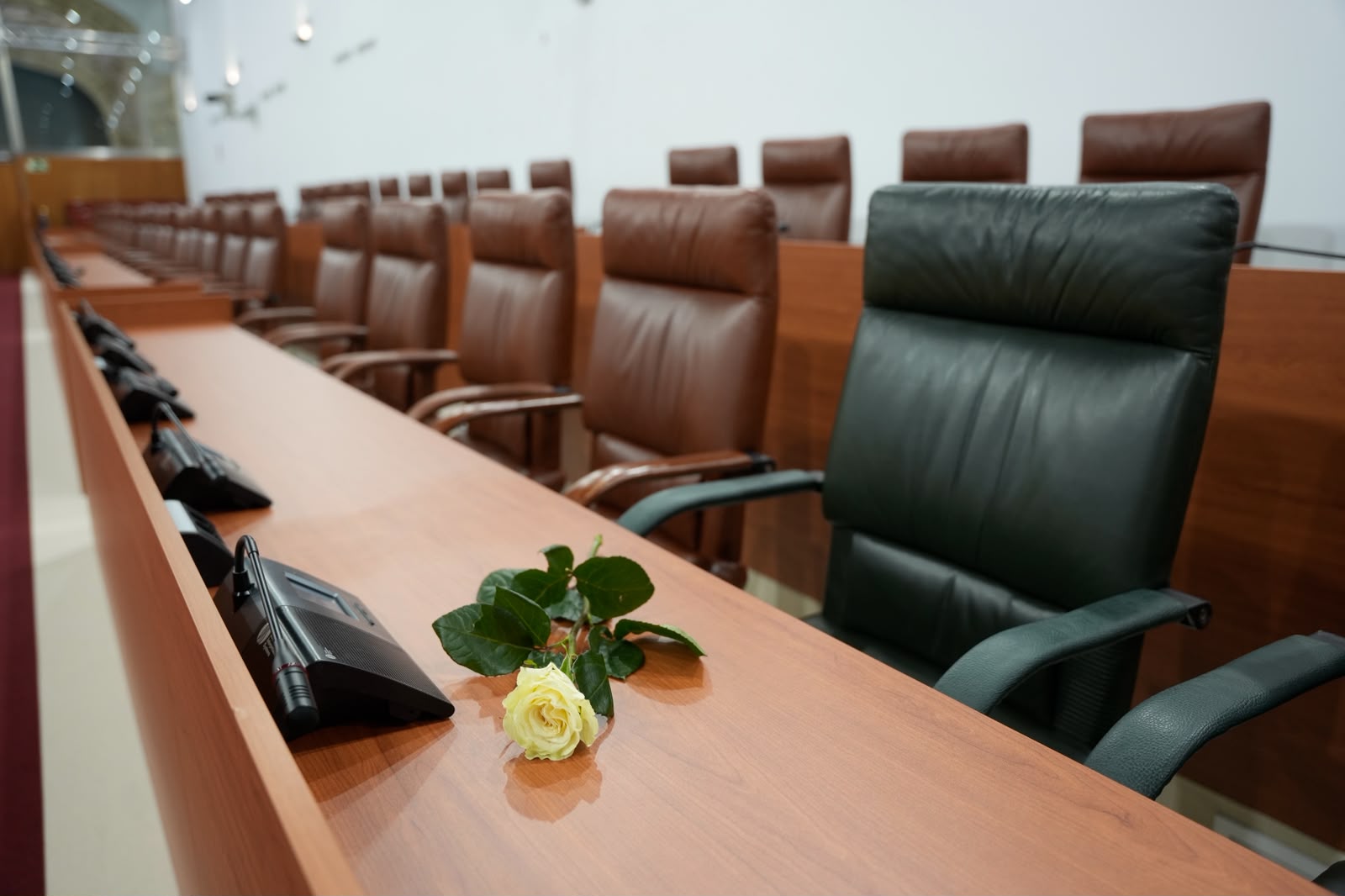  Una rosa sobre uno de los esca�os en memoria de Jos� Carlos G�mez Villamandos, consejero de Universidad, Investigaci�n e Innovaci�n, recientemente fallecido