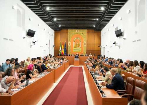 Imagen de la Sala Jim�nez-Becerril durante el Pleno de investidura