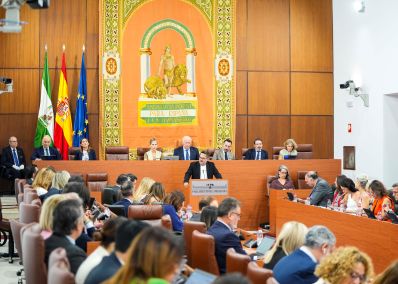 El l�der de Adelante Andaluc�a se dirige a los diputados durante el Pleno de investidura 