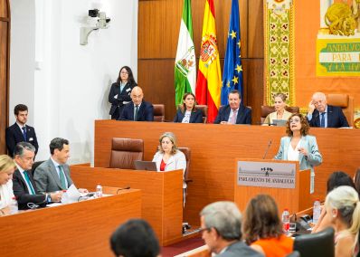  La l�der del PSOE de Andaluc�a interviene durante el debate de investidura