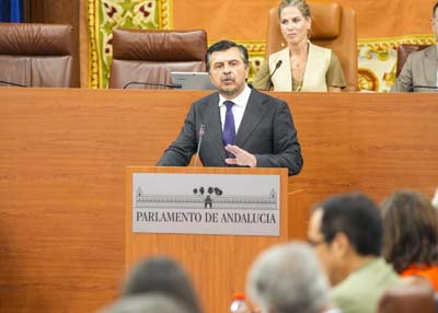 El portavoz del Grupo Popular, Antonio Mart�n, expresa el parecer de su grupo en el debate de investidura 