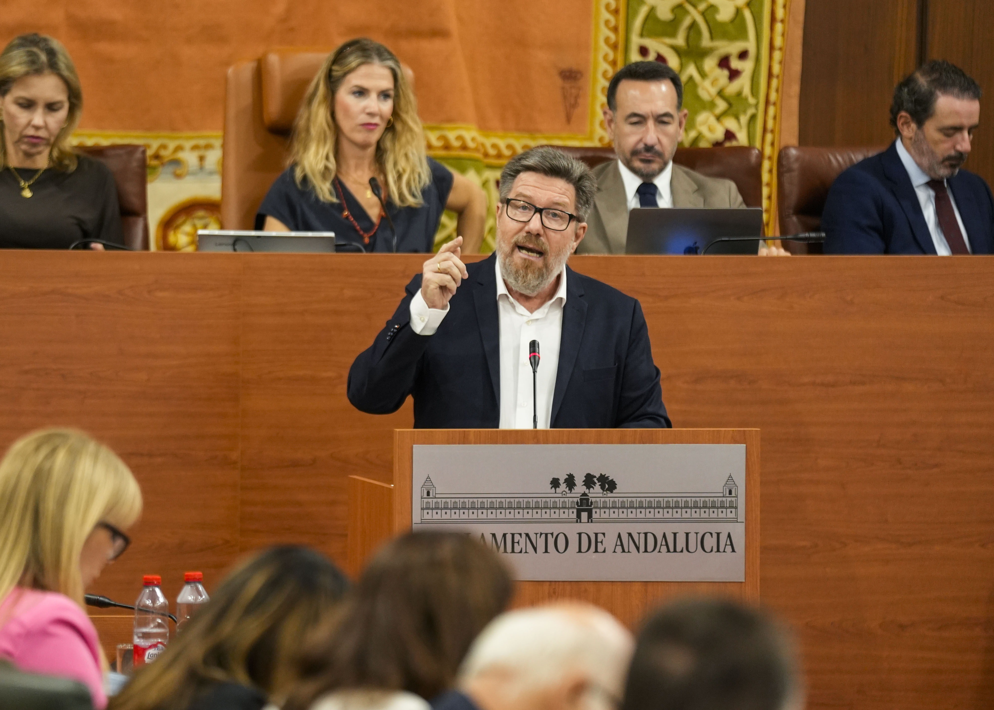  Rodrigo S�nchez interviene por el Grupo Socialista en la comparecencia sobre los incendios en Los Gallardos y B�dar en Almer�a