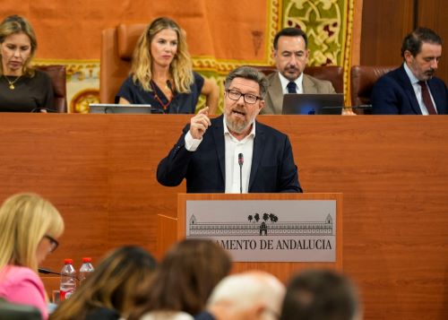  Rodrigo S�nchez interviene por el Grupo Socialista en la comparecencia sobre los incendios en Los Gallardos y B�dar en Almer�a
