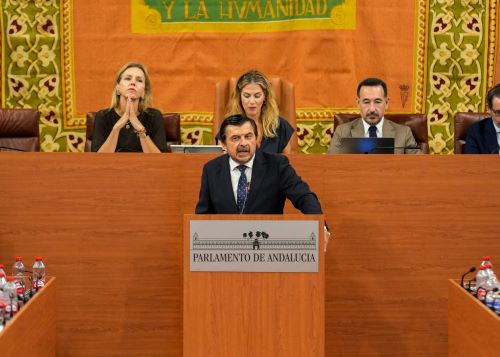  El portavoz del Grupo Popular, Toni Mart�n, interviene en la comparecencia sobre los incendios de Almer�a